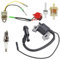 Bobine d'allumage magnétique pour Honda, bobine d'allumage pour moteurs Honda GX200 pour GX120 5,5 HP 6,5 CV, pièces de rechange pour bobine d'allumage de stator magnéto