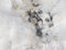 Muralo - Photo Wallpaper 3D Effect - Self-Adhesive Wallpaper 3D - Wallpaper for Living Room Bedroom - Photo Wallpaper Self-Adhesive - Woman with Flower on Concrete Motif - Width 416 cm x Height 290 cm