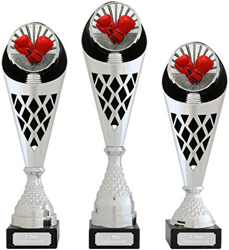 Pokal L Boxen Serie Verdun Trophäe Silber groß mit Gravur