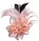 Blume Fascinator Feder Brosche Corsage,Vintage Feder Brosche Blume Haarspange Blume Mesh Bänder Brosche Pin Blumenfeder-Haarnadel Ansteckblume Brosche für Hochzeit Cocktai Party für Frauen und Mädchen