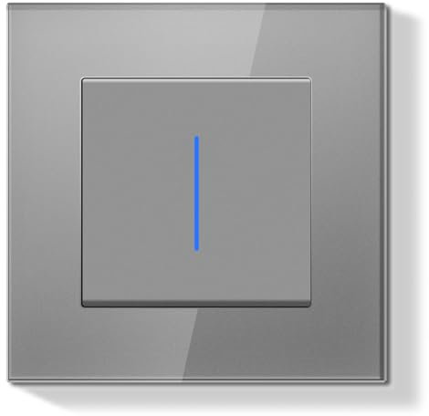 BSEEDLIFE Lichtschalter Unterputz 1-Fach 1-Weg, 86*86mm Wippschalter mit Reset-Funktion, Modern Wandschalter mit Glasrahmen, Einfache Montage(Kabelklemmen & Krallen), Lichtschalter mit Indikator Grau