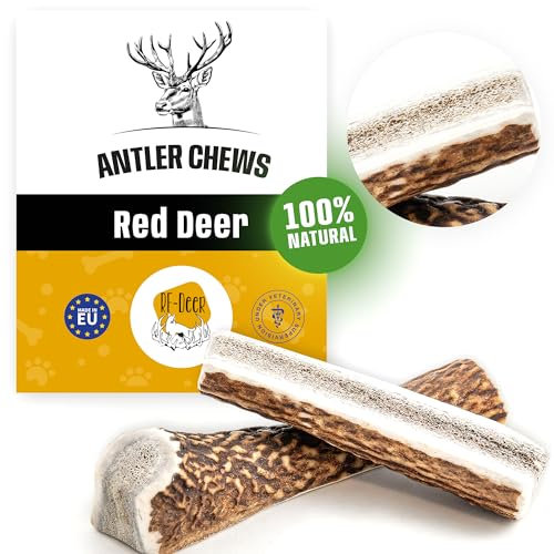 RF - Deer Hundeknochen Hundesnack Rothirsch Geweih Kausnack, Hirschgeweih für Hunde, 100% natürlicher, Gesunder Hundespielzeug, Kauknochen für Genuss und Zahnpflege (M, Soft - 1 Stück)