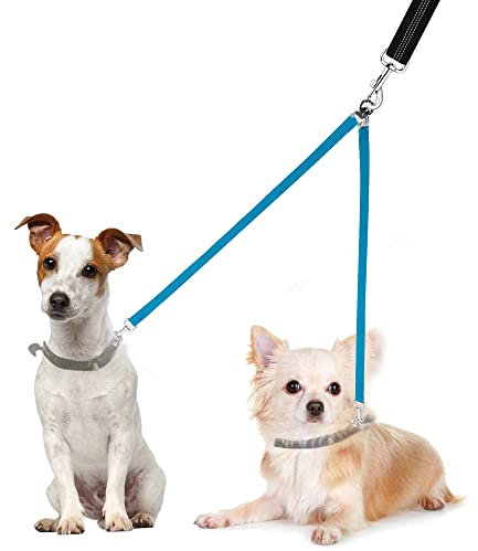Doppelleine für 2 Hunde, Trainer Leine für Kleine Hunde, Kein Gewirr Doppelte Verteiler Leine Gehen Trainer (Blau)
