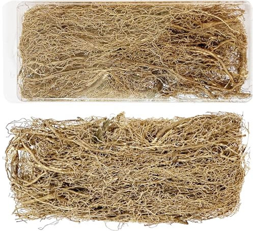 Woohome Mini Ratán Vegetación Tren Raíz Modelo Escena Planta Tallo DIY Mini Modelo Escena Militar Ferrocarril Cuento de Hadas Jardín Perspectiva Paisaje (B)