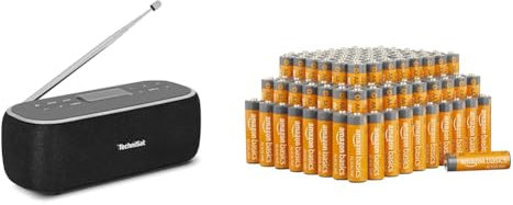 TechniSat Viola BT 1 - tragbarer Bluetooth-Lautsprecher mit DAB+ Digitalradio UKW & Amazon Basics AA-Alkalibatterien, leistungsstark, 1.5 V, 100er-Pack