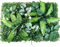 Panneaux muraux de Plantes artificielles 40,6 x 61 cm, Mur d'herbe réaliste et Vibrant, Mur décoratif Qui ne se décolore Pas, Mur végétal Dense pour Centre Commercial intérieur et extérieur, 1.