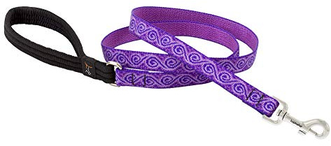 Lupine Jelly Roll Patterned Padded Handle Dog Lead, 3/4-inch/ 4 ft