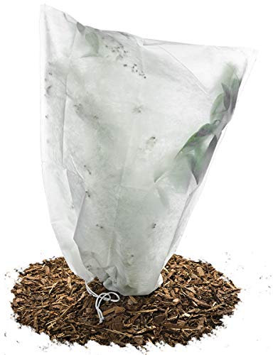 Frostschutzhaube Frostschutzvlies 50g/m² Vlies-Schutzhaube für Kübelpflanzen und Rosen (55cm x 75cm)