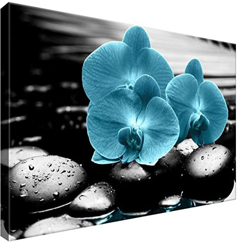 Estika Leinwand bilder - Türkis Orchideen, Schwarz weiß Hintergrund - 60x40 cm, 1 teilige kunstdruck - Wandbilder wohnzimmer, schlafzimmer, Moderne wanddeko, Bild auf leinwand - 2398A_1E
