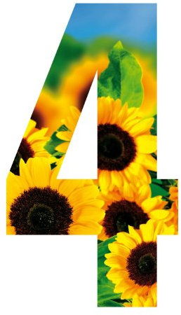 MONOGRAM Classic Signs Wheelie Bin Number Sunflower 4