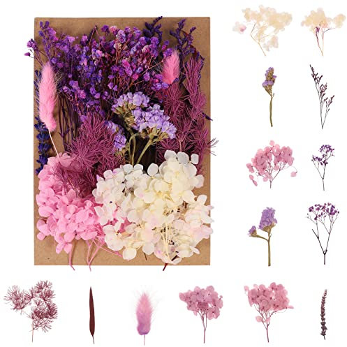gerFogoo Natürliche Getrocknete Blumen, Trockenblumen Set, Trockenblumen zum basteln, DIY Gemischte Echte Getrocknete Gepresste Blumen für Kunst Basteln, Scrapbooking Handwerk Machen, DIY-Kerze Harz