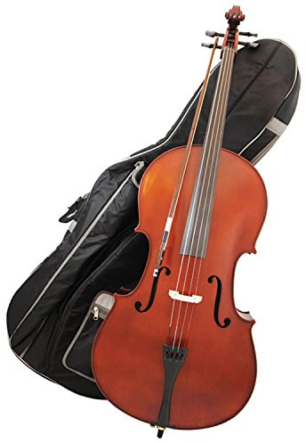 Primavera 100 4/4 Size Cello Outfit