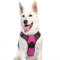 Eagloo Hundegeschirr Grosse Hunde, Anti Zug Hundegeschirr mit Reflexstreifen und Kontrolle, Verstellbar und Einstellbar Geschirr Hund Groß, Brustgeschirr für Labrador, Rosenrot, XL
