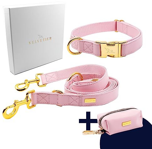 VELVETIER® Rose | Halsband Hund im Set mit Leine & Beutelspender | Veganes Leder | Hunde Halsbänder, Hundehalsband | Hundeleine 2m, Hundeleine mit Halsband (M/L: 39 - 59cm)