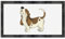 'Basset Hound Howl' Pet Feeding Mat (PM00028681)
