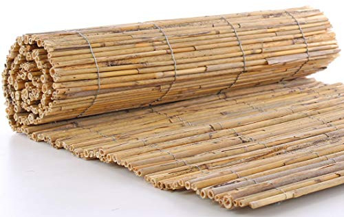 bambus-discount.com Winterschutz Schilfrohrmatte mit 50 x 150cm, Natur - Kleine und Kurze Schilfrohr Matte als Bastel- oder Winterschutzmatte