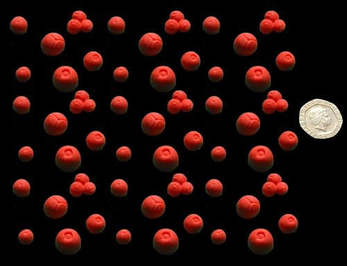 60 x Edible 3D Holly Berry Berries Set icing toppers, cake cupcakes decorations (Red)