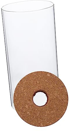 TOYANDONA Récipient Verre Transparent pour Plantes Et Mousse Bouteille Décorative Écologique pour Aménagement Intérieur