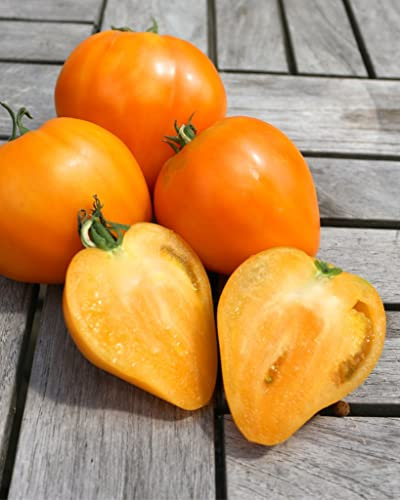 Seedeo® Tomate Ochsenherz orange (Lycopersicum L.) 20 Samen BIO