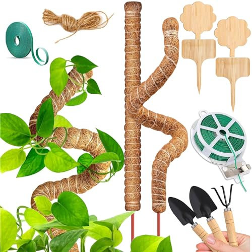 Tutores para Plantas 70CM Tutor Monstera Plegable Moss Pole Verdes y ecológicos Varilla Monstera para Plantas Trepadoras Interior al Aire Adecuado para Plantas trepadoras vides y arbustos 2PCS (A)