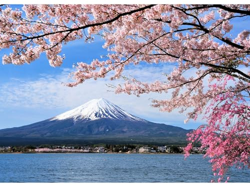 MISITU Puzzle 1000 Teile für Erwachsene Kirschblüte in Japan | Klassische Puzzles Vulkan Fuji Puzzle 1000 Teile für Kinder ab 14 Jahren