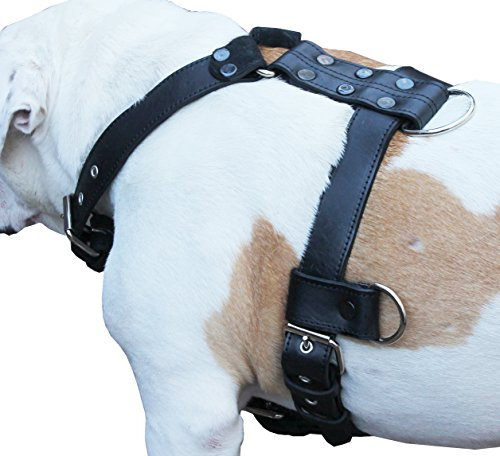 Echtleder Hundegeschirr Große 71,1 cm-35 Brust, 3,3 cm Verstellbare Träger