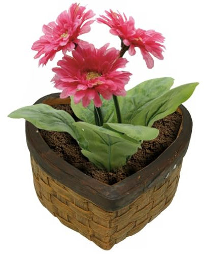 Maison de Cadeux Pot de fleurs en céramique en forme de cœur
