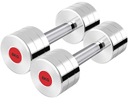 MINGYAN Fitness-Hanteln Pure Steel Plating Hantel, Hanteln Paar for Body Workout Home Gym Fitness Heimfitnessgeräte 2kg-20kg / 4.4lb-44lb Gewicht Hanteln (Color : Silver, Größe : 8kg x2)