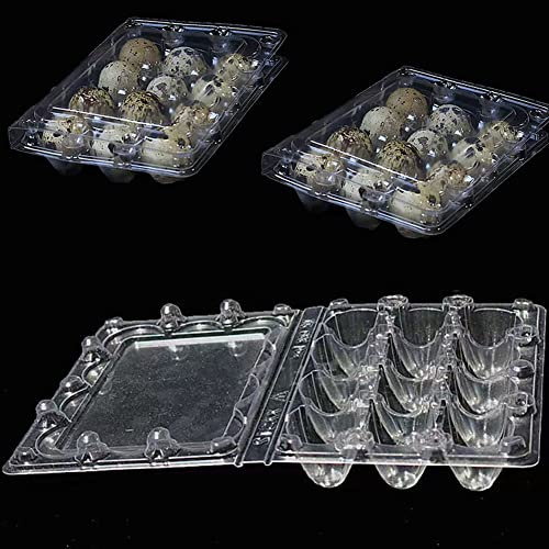 30 Stück Wachteleierschachteln, 12 Gitter Quail Egg Kartons, Wachtelei-Schachteln, Eierschachteln Wachteln Kunststoff Wachtelei-Kartons Transparente Eierschachtel für Wachteleier