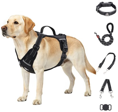 IEUUMLER No Pull Anti-Zieh Hundegeschirr Verstellbares Geschirr mit Leine, Sicherheitsgurt & Backup-Band, verstellbar, AirTag-fähig, für kleine bis große Hunde EU021 (Schwarz, L)