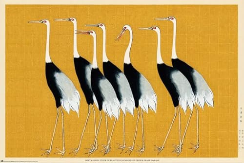 Kazumasa Ogawa - Lotusblume - Poster Plakat Druck - Größe 91,5x61 cm