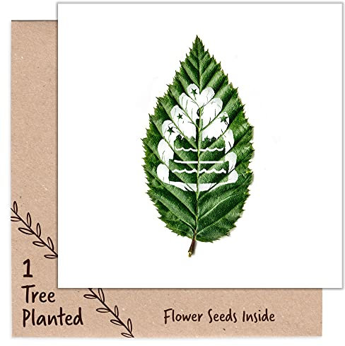 1 Tree Cards Birthday Cards for Women, Men and Non Binary - Tree Planting & Seed Card that Grows Flowers Inside - Gift Card for Eco Warrior (Cake)