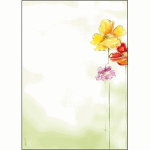 Sigel DP123 50 Blatt Kreativpapier (50 Blatt, 21 cm, 29,7 cm)