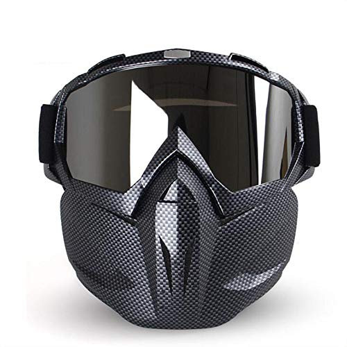 ZoliTime Motorradbrillen Motorradhelm Reitbrillen Brille mit Abnehmbarer Gesichtsmaske