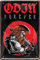 schilderkreis24 - Wikinger Spruch: ”Odin Forever“ Deko Schild Metallschild Garage Walhalla Vikinger Tür Geschenk zum Geburtstag oder Weihnachten 20x30