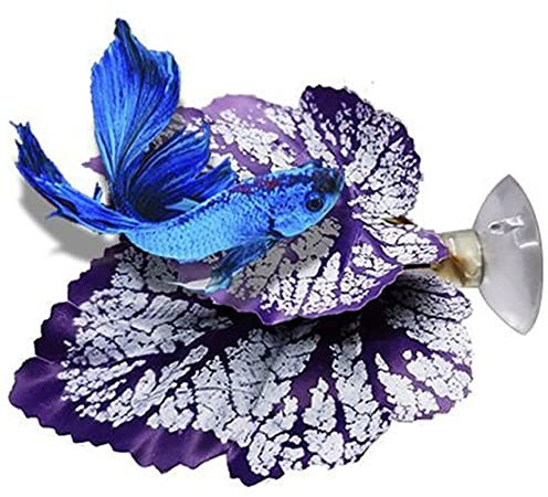 Vepoty Betta-Fisch-Hängematte Realistische Betta-Fisch-Blatt-Auflage mit Saugnapf-Aquarium-Pflanzen-Blatt für Aquarium-Dekoration