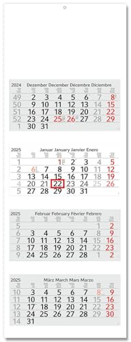 Timr 4-Monatskalender 2025 Blanko Weiß I Wandkalender 4 Monate I 33 x 90 cm I mehrsprachig D/GB/F/ES I Jahresplaner mit Schieber Mehrblatt-Kalender unbedruckt ohne Motiv zum gestalten I tr279
