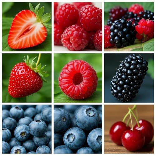 1100+ Mix sechs Arten von Obst Samen für die Bepflanzung, Erdbeere Himbeere Maulbeere Heidelbeere Holunder Kirsche, Non-GMO Heirloom Seeds, 6 Sorten einzeln verpackt für Home Garden