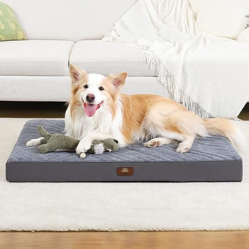 Hofbrucker® Öko Tex Premium Orthopädisches kuscheliges Hundebett für große & kleine Hunde, Waschbar, Bequem & rutschfest | druckentlastenden Schaum | Kratzfest, Pflegeleicht & Robust