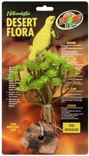 Zoo Med Tree Houseleek Desert Flora Plante pour terrarium