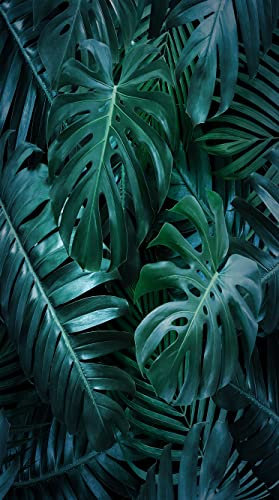 FEBE Strandtuch XXL Grüne Tropen 100x180 cm Badetuch Groß 100% Mikrofaser Handtuch Stranddecke Sommer-Handtücher