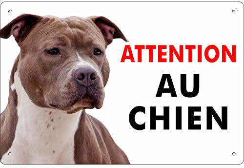 Pubblimania Amstaff Panneau signalétique pour chien en aluminium rigide, d’une épaisseur de 3 mm (Amstaff Cm 30x20)
