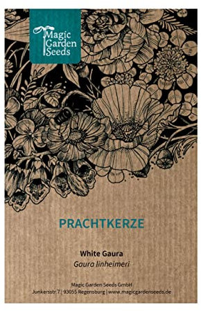 Prachtkerze (Gaura lindheimeri) ca. 30 Samen der mehrjährigen Staude Dauerblüher Präriegarten naturnaher Garten guter Rosenbegleiter