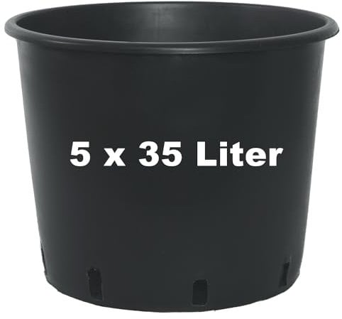 samenfritze 5X Pflanzcontainer 35 Liter Ø 40 cm - Blumentopf, Pflanztopf, Pflanzkübel, ideal für Gemüse und Blumen, Pflanzgefäß