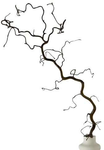 Eve & Wild Real Twisted Corylus Hazel Branches, Natural Decorative Dried Branch Decor, Curly Twigs for Vase, Japandi Decor, Twisted Willow (1, MEDIUM (70-80cm))