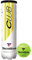 Tennisbälle Tecnifibre Club (4 St.)