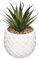 Atmosphera - Plante Artificielle Ananas - H21 cm - Blanc