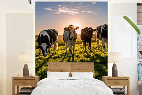 Selbstklebend Tapete Wandpapier Wandaufkleber Fototapete Tapeten Wanddeko 160x220 cm Kühe - Sonne - Gras - Tiere - Bauernhof