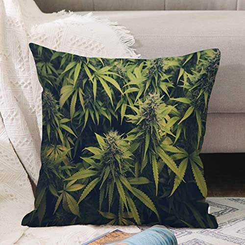 Kissenbezug 45x45 cm,Green Weed Cannabis Bud Marihuana Pflanzen Marihuana Sativa Hanf Indic,Outdoor Kissen Kissenbezüge Kissenhülle Sofa Kissen dekokissen Zierkissen für Wohnzimmer Garten deko draußen