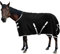 Wasserdichte Pferdedecke aus Fleece, für den Winter, wasserdicht, Premium-Pferdedecke, wasserdichte Decke, 198,1 cm, Schwarz, 145 cm